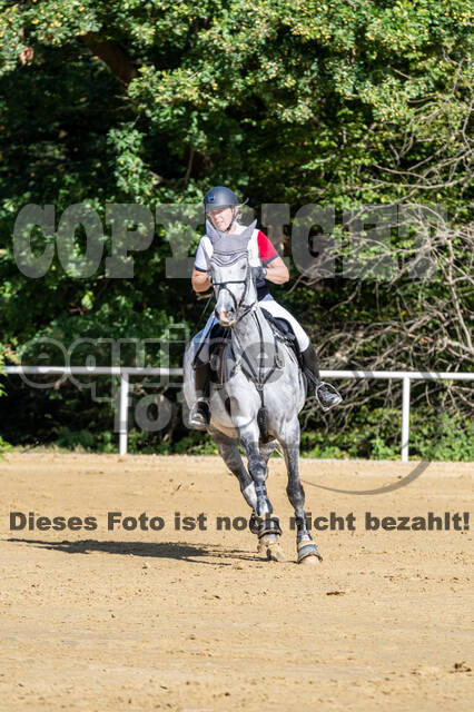 RFV Dinslaken-Hiesfeld (Herbstturnier)