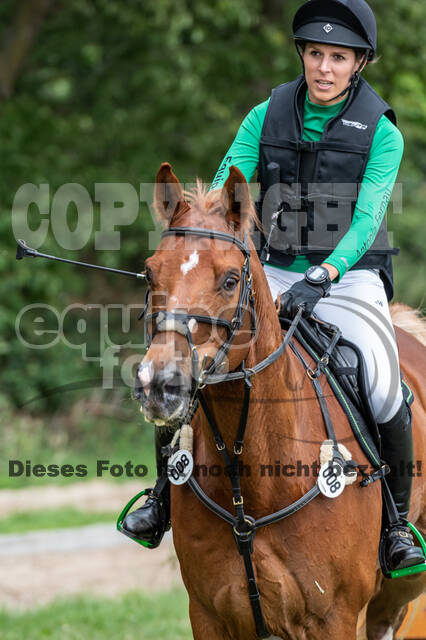 Late-Entry-Vielseitigkeit Langenfeld (06.+07.07.2020)