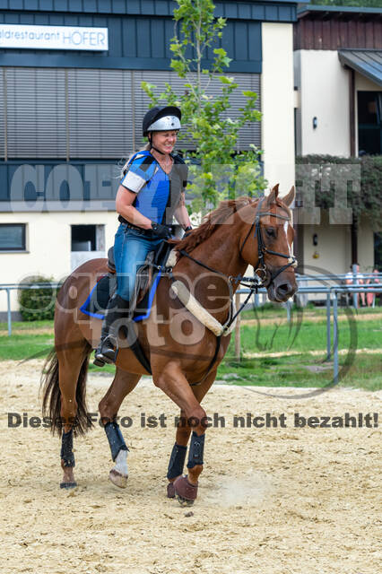 Hunter Geländetraining 10.07.2021 (Sonsbeck)