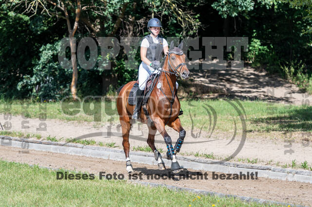 Late-Entry-Vielseitigkeit Langenfeld (11.+13./14.06.2020)
