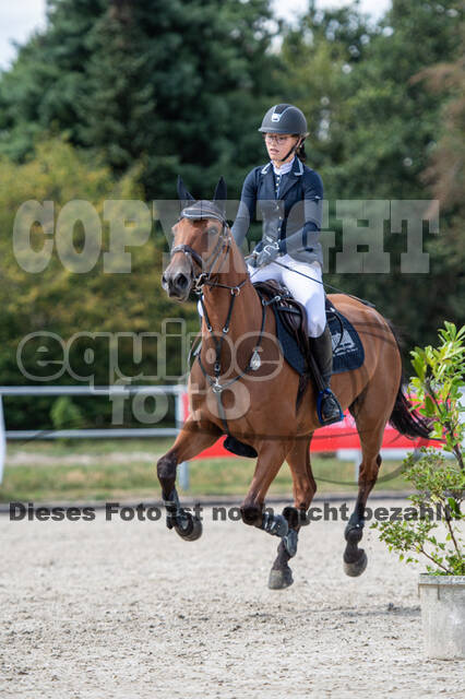 Landesturnier Rheinland, Vielseitigkeit, 22.+23.08.2020