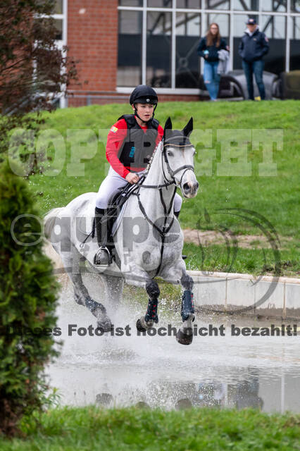 Goldene Schärpe 2020 - Pferde