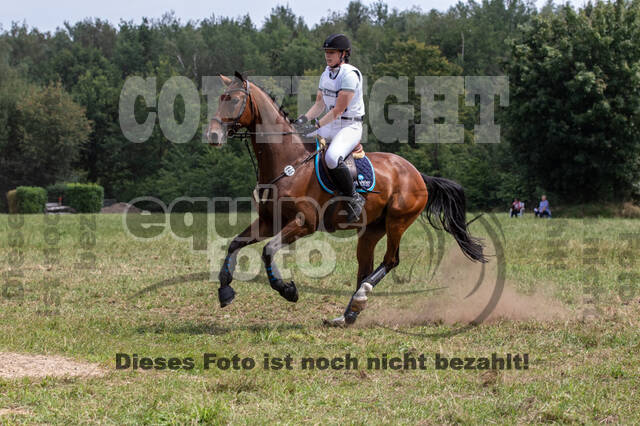 Late-Entry-Vielseitigkeit Gahlen (18.07.2020)