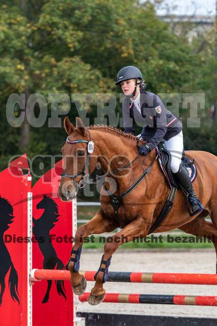 Goldene Schärpe 2020 - Pferde