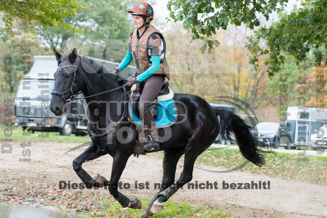 Training Tholi Tour