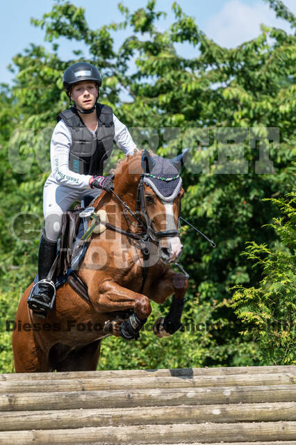 Goldene Schärpe 2021 - Ponys