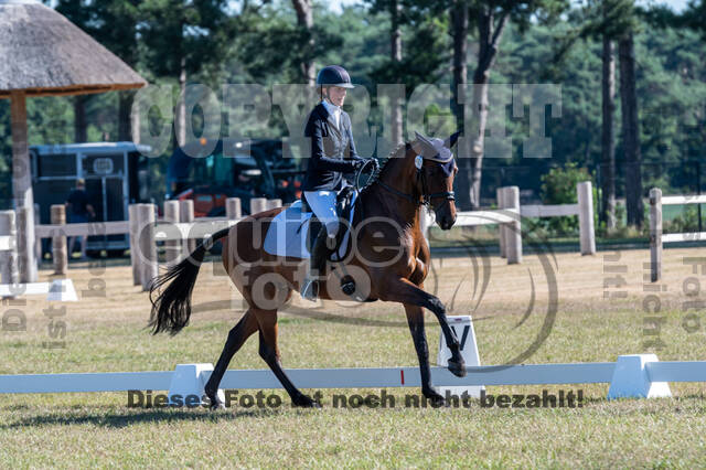 Kronenberg - De Peelbergen (August 2020)