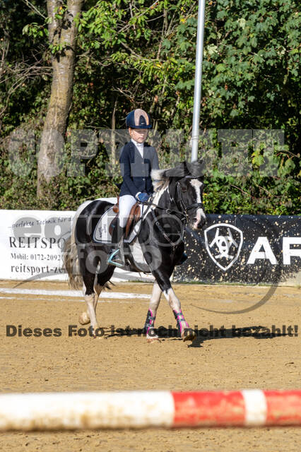 RFV Dinslaken-Hiesfeld (Herbstturnier)