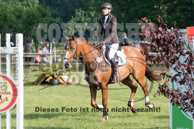 Vielseitigkeitsturnier ZRuFV von Lützow Hamminkeln