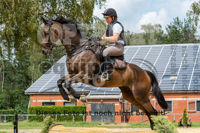 Hunter Geländetraining 10.07.2021 (Sonsbeck)