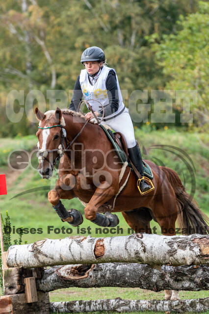 Vielseitigkeit RSV Wesel Obrighoven (26.+27.09.2020)