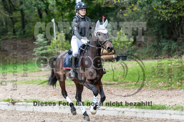 Goldene Schärpe 2020 - Pferde