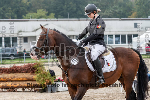 Goldene Schärpe 2020 - Pferde