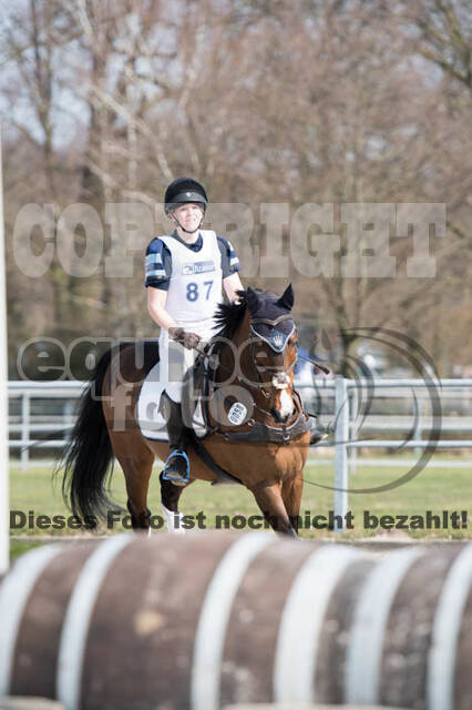 Eventing Langenfeld 2018