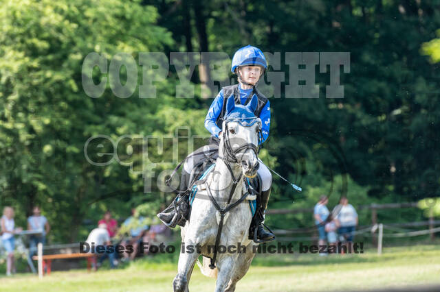 Goldene Schärpe 2021 - Ponys