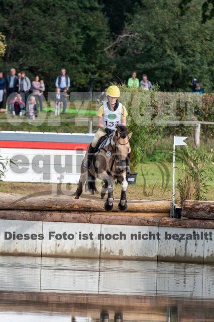 Deutsche Meisterschaft Vielseitigkeit (Luhmühlen)