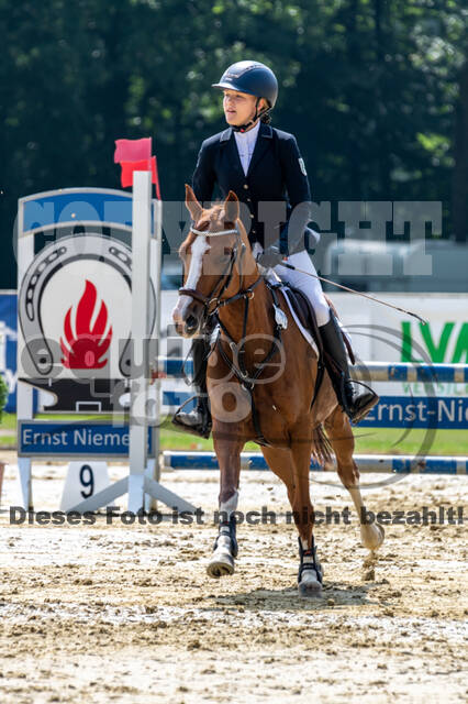 Goldene Schärpe 2021 - Ponys