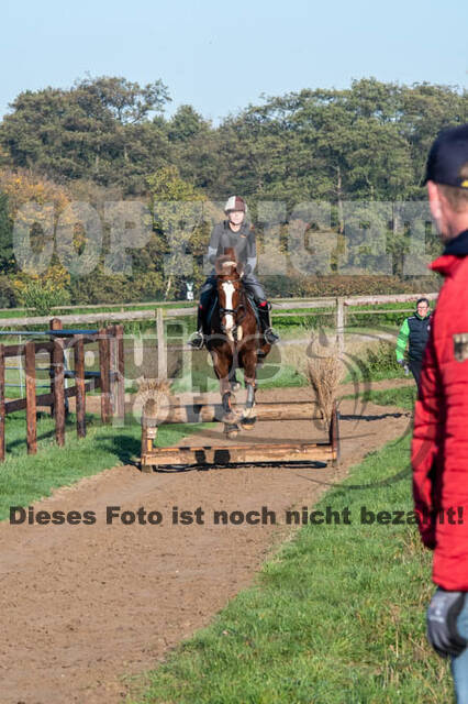 Vielseitigkeitslehrgang mit Jürg Kurbel (9.+10.11.2019)