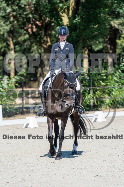 Kronenberg - De Peelbergen (August 2020)