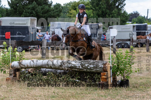 Late-Entry Vielseitigkeit Hamminkeln/Wesel (01.+02.08.2020)