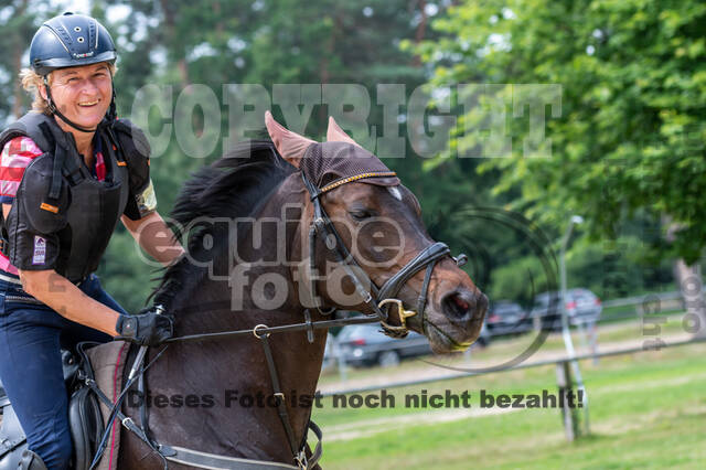 Hunter Geländetraining 10.07.2021 (Sonsbeck)