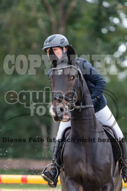 Vielseitigkeit RSV Wesel Obrighoven (26.+27.09.2020)