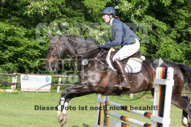 Vielseitigkeitsturnier ZRuFV von Lützow Hamminkeln