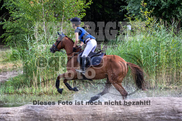 Late-Entry Vielseitigkeit Hamminkeln/Wesel (01.+02.08.2020)