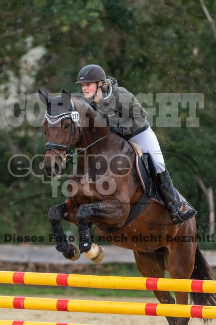 Vielseitigkeit RSV Wesel Obrighoven (26.+27.09.2020)