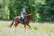 Westerstede Horse Trials 2021