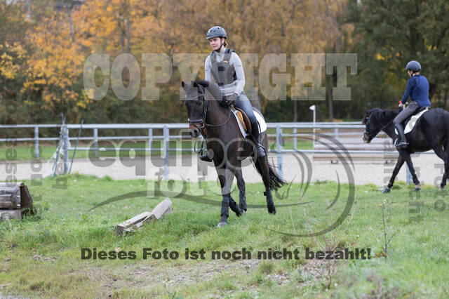 IGV Lehrgang der Sieger der Cups mit Frank Ostholt