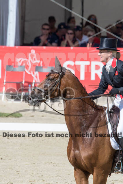 FEI European Championship Eventing 2017