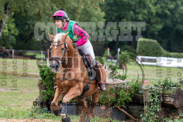 Vielseitigkeit RSV Wesel Obrighoven (26.+27.09.2020)