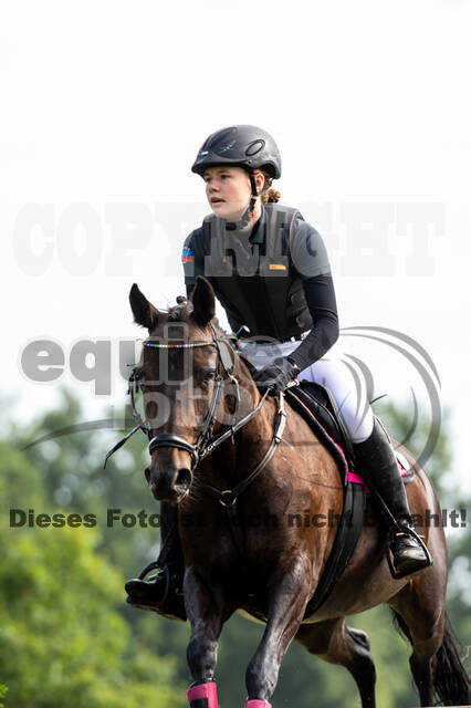 Goldene Schärpe 2021 - Ponys