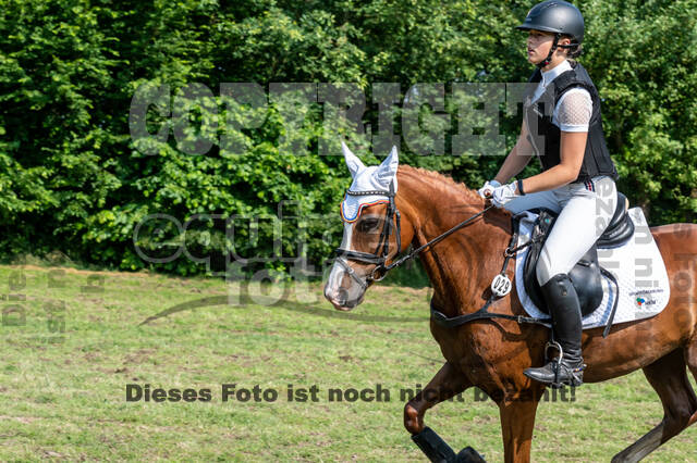Goldene Schärpe 2021 - Ponys