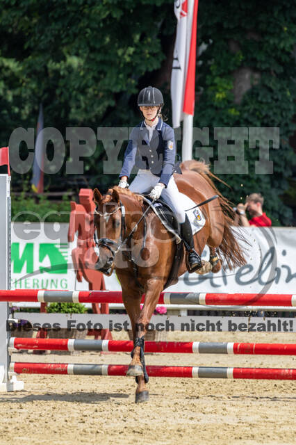 Goldene Schärpe 2021 - Ponys