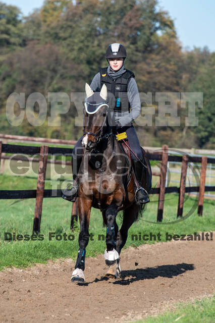 Vielseitigkeitslehrgang mit Jürg Kurbel (9.+10.11.2019)