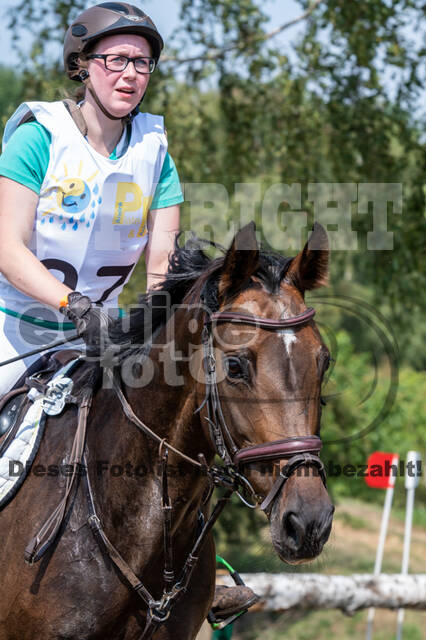 Late-Entry Vielseitigkeit Hamminkeln/Wesel (01.+02.08.2020)