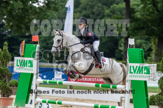 Goldene Schärpe 2021 - Ponys