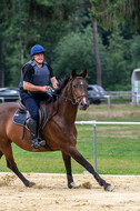 Hunter Geländetraining 10.07.2021 (Sonsbeck)