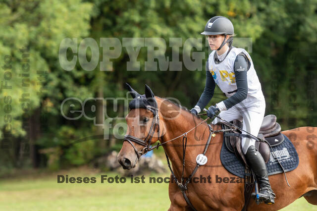 Vielseitigkeit RSV Wesel Obrighoven (26.+27.09.2020)