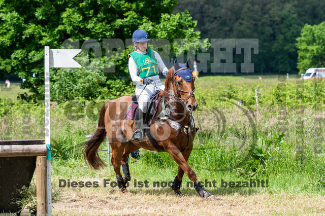 Westerstede Horse Trials (10.-13.06.2021)