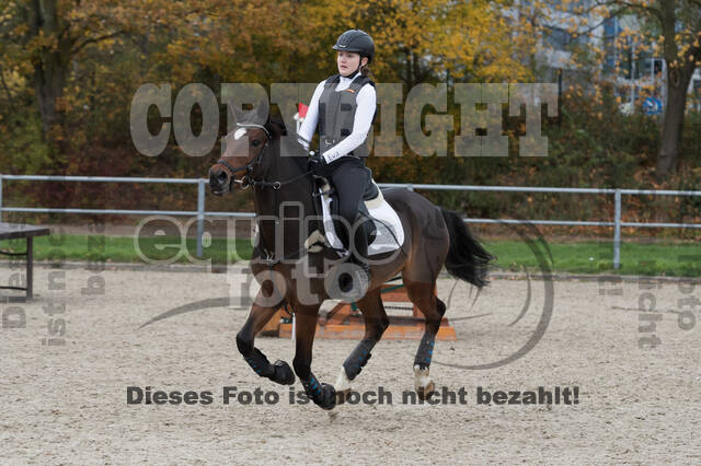 IGV Lehrgang der Sieger der Cups mit Frank Ostholt