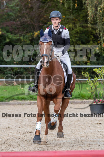 Goldene Schärpe 2020 - Pferde