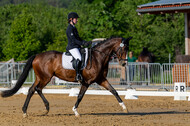 Westerstede Horse Trials 2021
