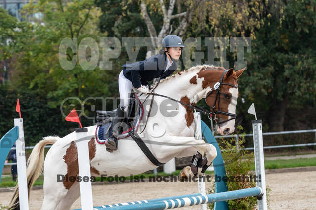 Goldene Schärpe 2020 - Pferde