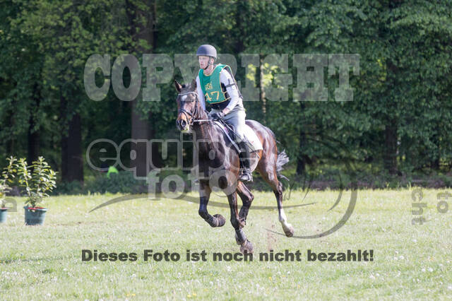 Sterne über Münster 2019 - CCI***S