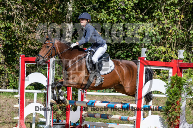 RFV Dinslaken-Hiesfeld (Herbstturnier)