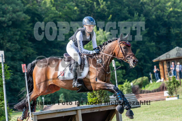 Goldene Schärpe 2021 - Ponys