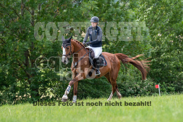 Bonn-Rodderberg Late-Entry-Vielseitigkeit (30.06.2020)